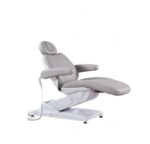 NEEV-Luxury 3 Motor Facial/Massage Bed 