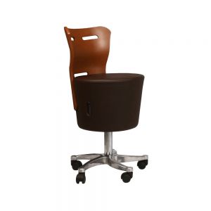 Luxury Salon Chair
