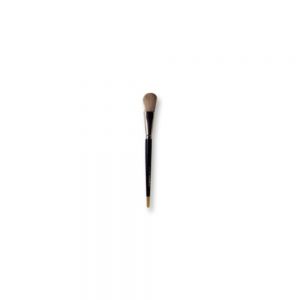 Face Brush