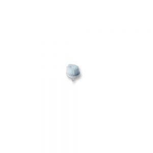 Brush