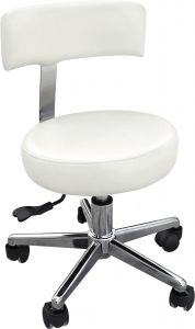 Hydraulic Stool w/back