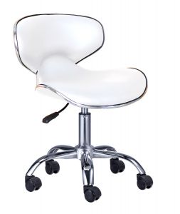 Hydraulic Stool w/back